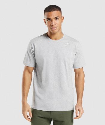 Gymshark Crest Muške T Shirts Svijetlo Sive | HR 2530VRW